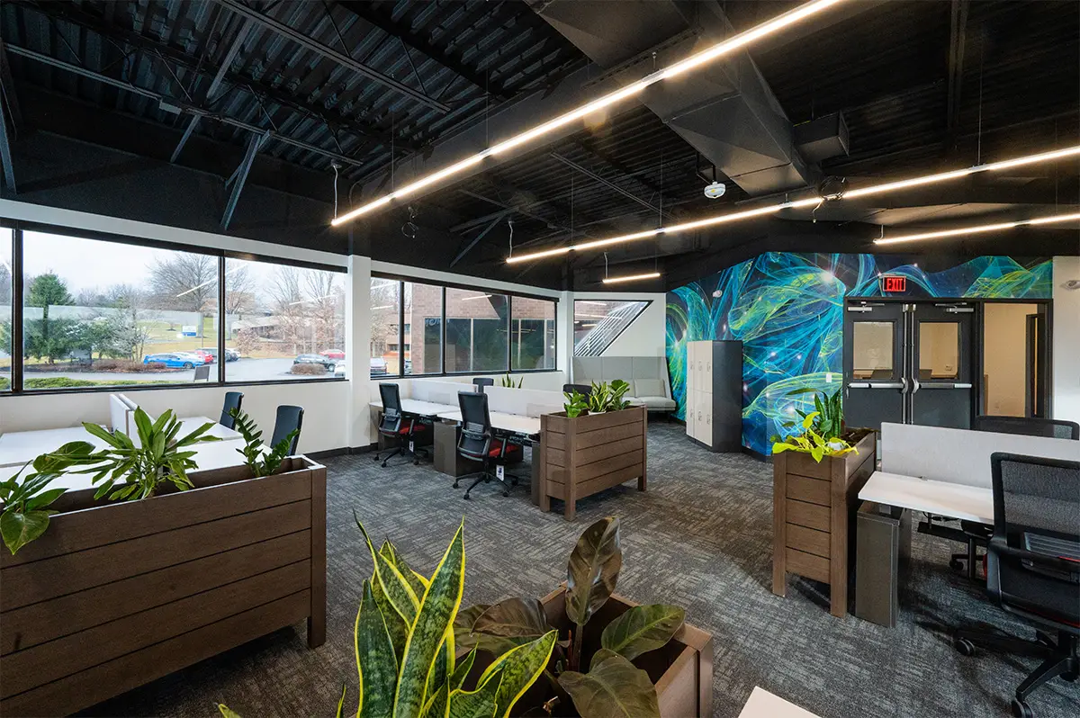 Visionet Office Renovations (Phase I & II)